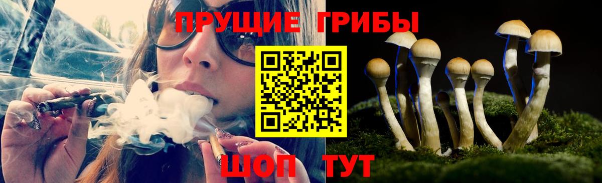 Галлюциногенные грибы Cubensis  Вход с VPN  Усть-Джегута  Псилоцибиновые грибы MAGIC MUSHROOMS 